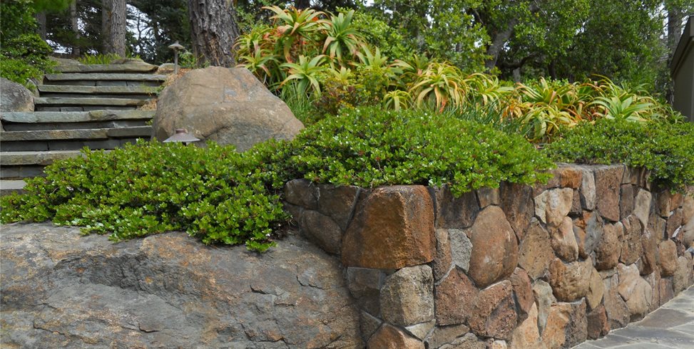 Retaining Wall
Landscaping Network
Calimesa, CA