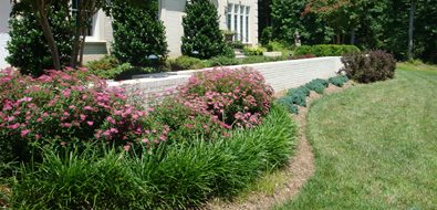 Revolutionary Gardens