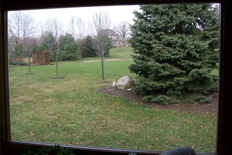 Rice's Nursery & Landscaping
North Canton, OH