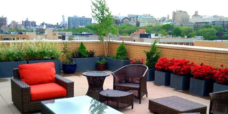 Roof Terrace
Walkway and Path
Amber Freda Home & Garden Design
New York, NY