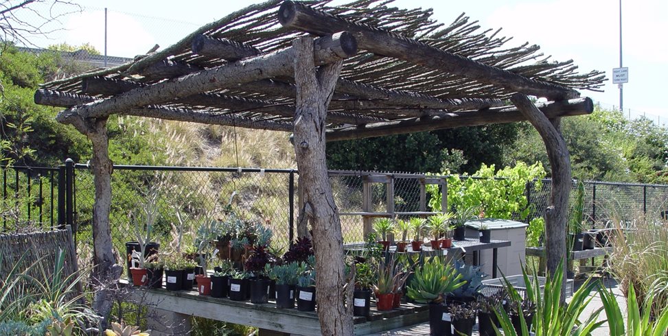 Rustic Arbor
Maureen Gilmer
Morongo Valley, CA