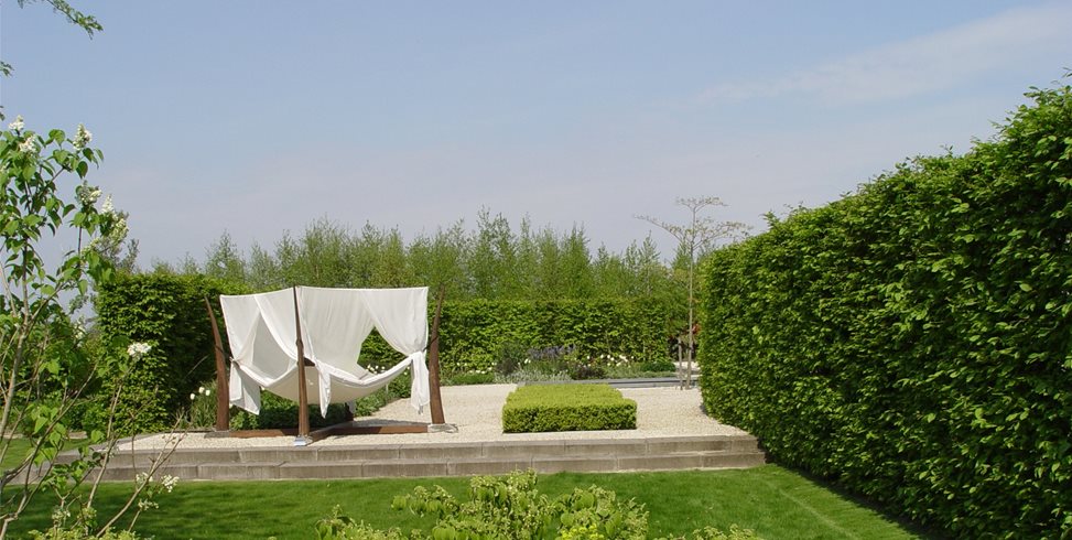Shade Hammock
Maureen Gilmer
Morongo Valley, CA