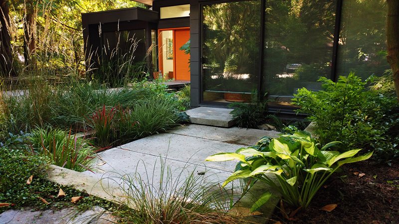 Shady Garden, Front Garden
Front Yard Landscaping
Green Elevations
North Vancouver, British Columbia