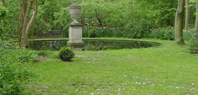 simple backyard simple pond