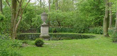 Simple Backyard, Simple Pond, Elegant Pond
Mediterranean Landscaping
Maureen Gilmer
Morongo Valley, CA