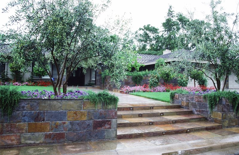 Simple Front Yard, Simple Front Entry
Front Yard Landscaping
Maureen Gilmer
Morongo Valley, CA