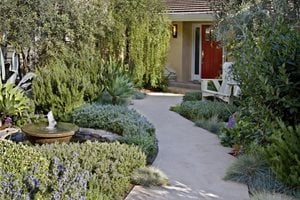 Small Front Yard Design
ALIDA ALDRICH LANDSCAPE DESIGN
Santa Barbara, CA