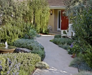 Small Front Yard Design
Swimming Pool
ALIDA ALDRICH LANDSCAPE DESIGN
Santa Barbara, CA