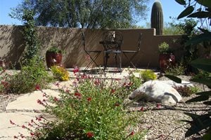 Small Patio, Desert Patio
Patio
Casa Serena Landscape Designs LLC - Closed
