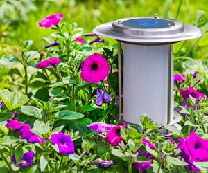 Solar Landscape Lighting
Landscaping Network
Calimesa, CA