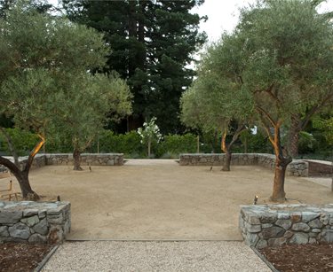 Spacious Backyard Design
Swimming Pool
Shades of Green Landscape Architecture
Sausalito, CA