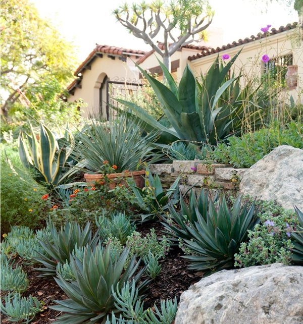 Spanish Plants
Garden Design
Sandy Koepke Interior Design
Los Angeles, CA