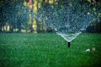 Sprinkler Spray
Landscaping Network
Calimesa, CA