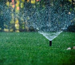 Sprinkler Spray
Landscaping Network
Calimesa, CA