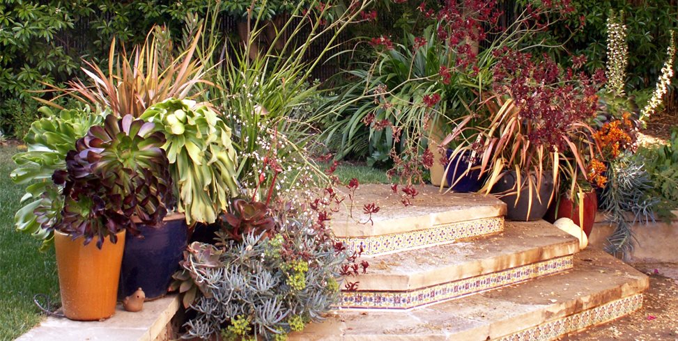 Stair Containers
Grace Design Associates
Santa Barbara, CA