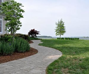Stone Paver Path, Winding Walkway
StoneScapes Design
Hanover, MD
