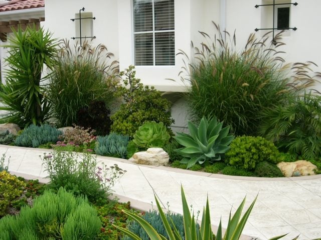 Succulent Path Garden
Garden Design
Designs by Shellene
San Diego, CA