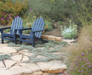 Sustainable Patio Area