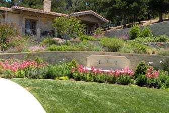 Deer resisting plants