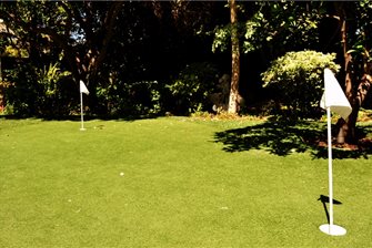 Backyard Putting Greens