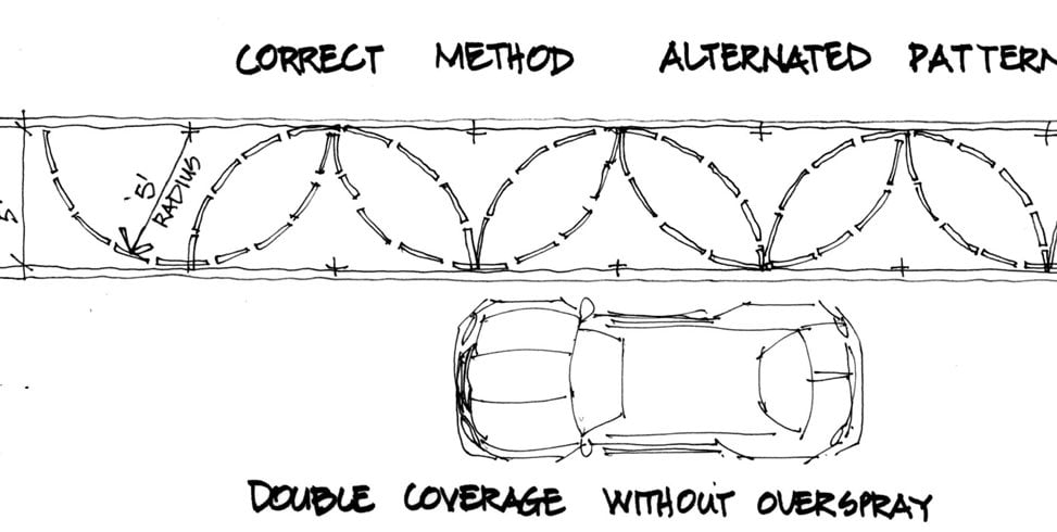 Variegated Perennials