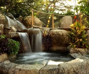 The Green Scene
Chatsworth, CA