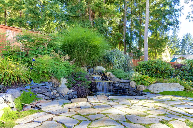 Tiered Backyard Waterfall
Pond and Waterfall
Landscaping Network
Calimesa, CA