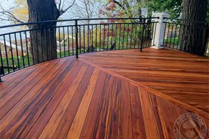 Tigerwood Deck, Tropical Decking
Advantage Lumber
Buffalo, NY