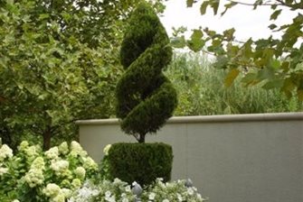 Topiary, French, Box, Pea Gravel