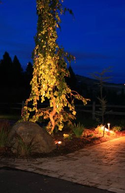 Tree Lighting
Lighting
Copper Creek Landscaping, Inc.
Mead, WA