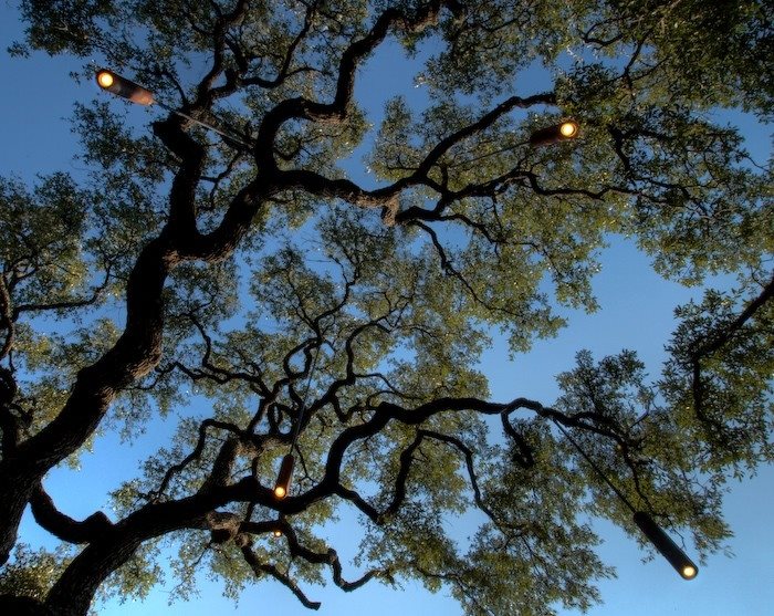 Tree Lighting
Lighting
D-Crain
Austin, TX