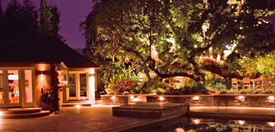 English Cottage Garden