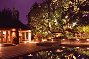 Tree, Oak, Lights, Pool
Lighting
Aesthetic Gardens
Mountain View, CA