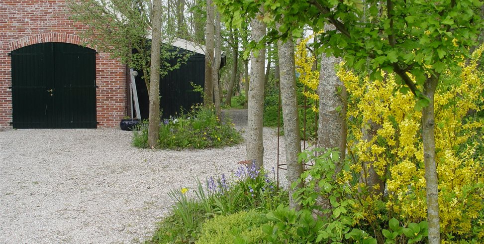 Trees
Maureen Gilmer
Morongo Valley, CA