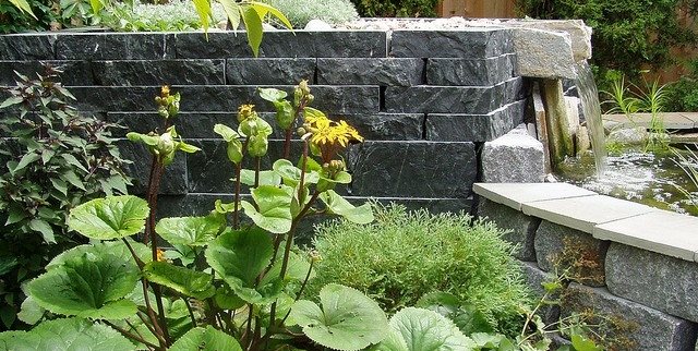 Tropical, Leaves
Switzer's Nursery and Landscaping
Northfield, MN