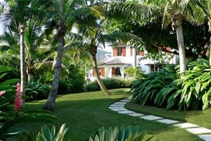Tropical Walkway
Backyard Landscaping
Craig Reynolds Landscape Architecture
Key West, FL
