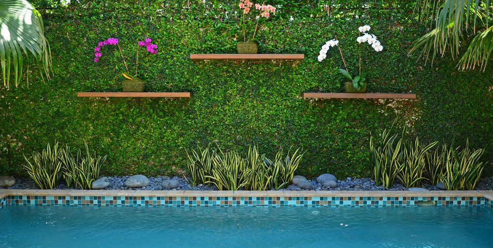 Tropical Wall, Living Wall, Vine Wall
Tropical Landscaping
Lewis Aqui Landscape + Architectural Design, LLC.
Miami, FL