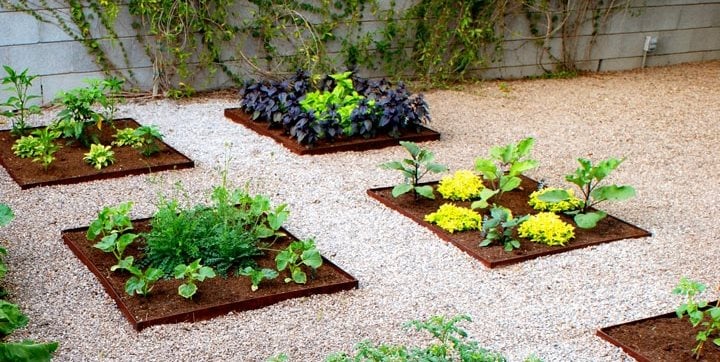 Urban Vegetable Garden
REALM
Tucson, AZ