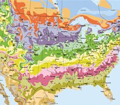 USDA hardiness map