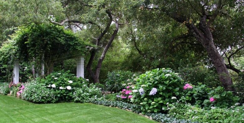 Victorian, Shrubs
Northern California Landscaping
Donna Lynn Landscape Design
Santa Barbara, CA