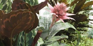 Westover Landscape Design
Tarrytown, NY