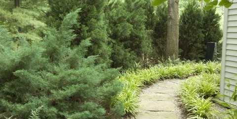 Westover Landscape Design
Tarrytown, NY