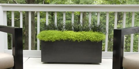 Westover Landscape Design
Tarrytown, NY