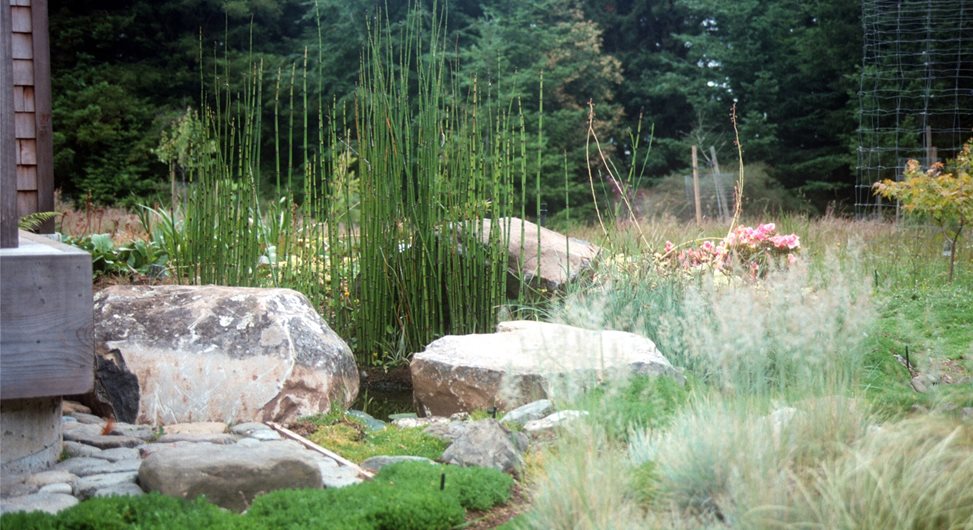 Wetland Landscape
Maureen Gilmer
Morongo Valley, CA