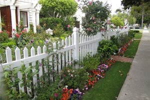 White, Fence
Lighting
Landscaping Network
Calimesa, CA