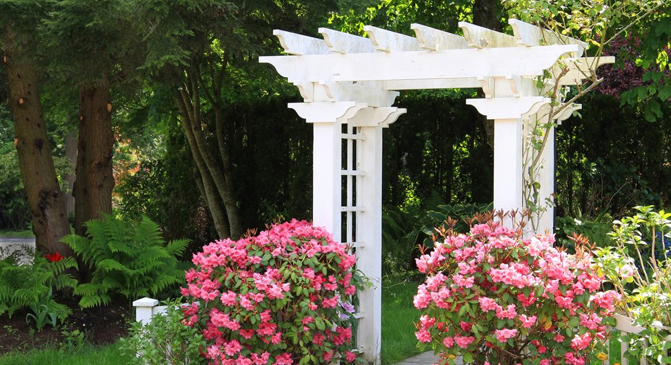 White Garden Arbor
Landscaping Network
Calimesa, CA