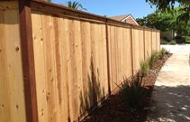 Wood Fence Cost