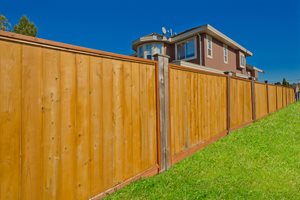 Backyard Fence Cost