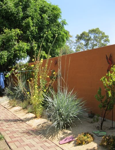 Xeriscape Fence Plantings
