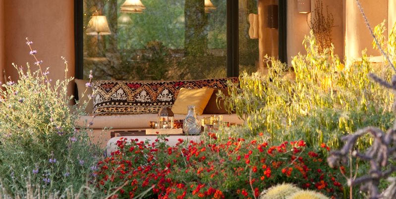 Xeriscape Garden In Bloom
Boxhill Landscape Design
Tucson, AZ